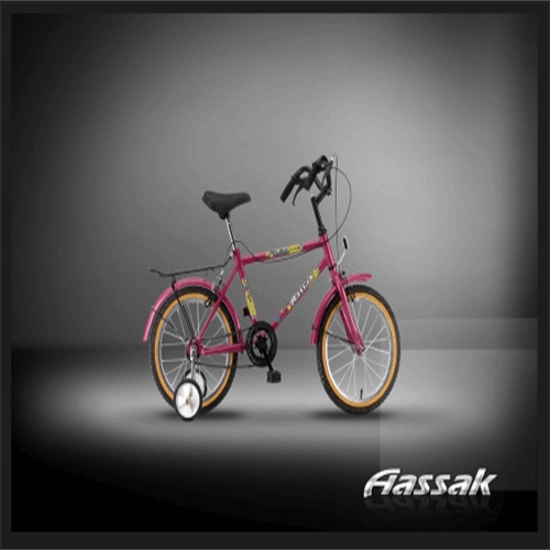 دوچرخه بچگانه سندباد ۱۶ اینچ ۱ سرعته