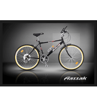 دوچرخه کوهستان