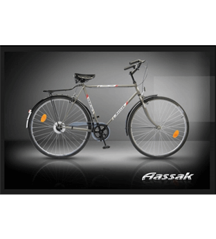 ﻿   دوچرخه شهری دیان