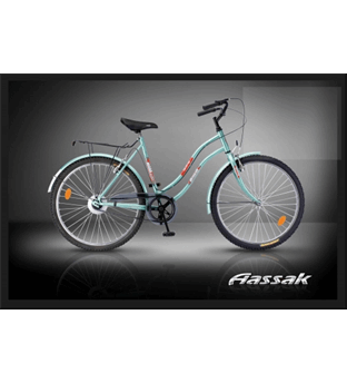 دوچرخه شهری