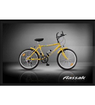 دوچرخه بچگانه اترک