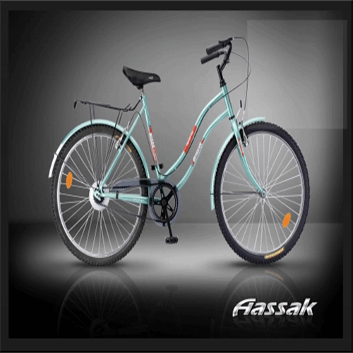 دوچرخه شهری