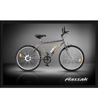 ﻿   دوچرخه شهری کوهسار