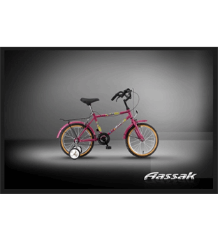 دوچرخه بچگانه سندباد